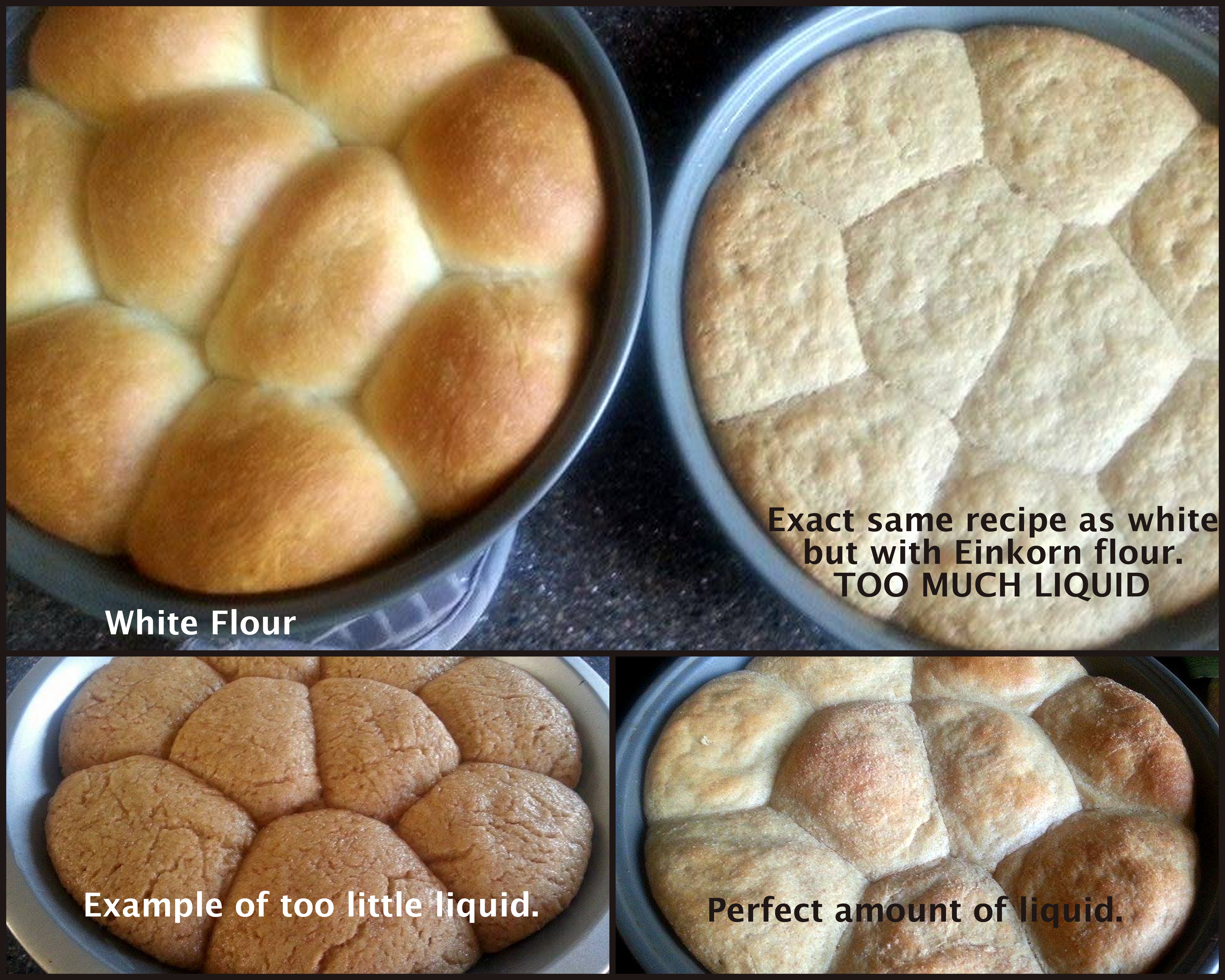 Farmgirl Fare: Ten Tips on How To Bake Better Artisan Breads at Home