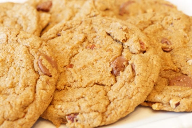 einkorn chocolate chip cookie