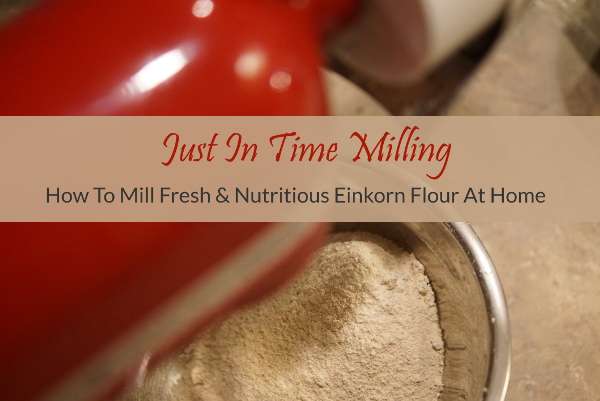 https://www.einkorn.com/wp-content/uploads/2017/11/how-to-mill-einkorn-flour.jpg