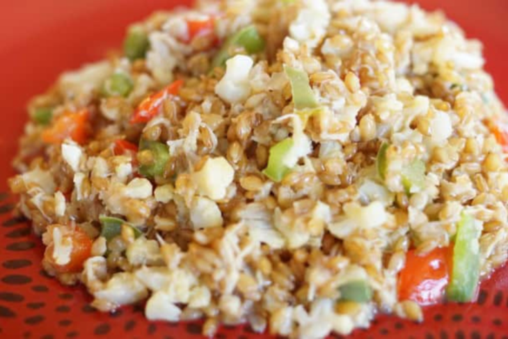 Einkorn grain salad with cooked wheat berries, red bell pepper and green onion on a red plate