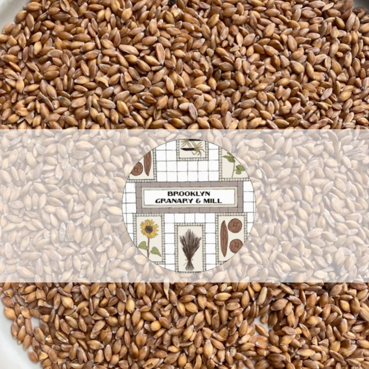 Wheat berries with a Brooklyn Granary & Mill logo badge overlaid.
